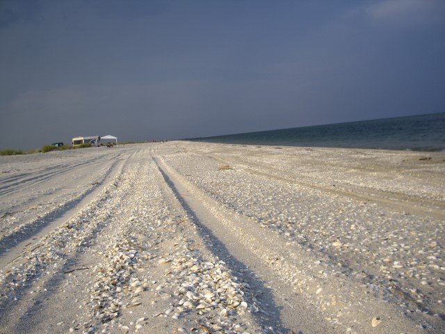 IMGP8286 (Custom).JPG