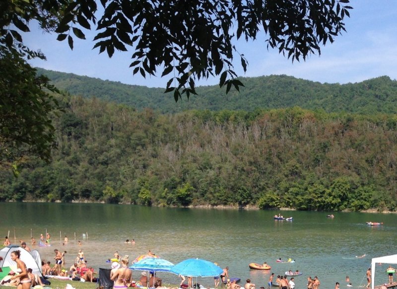 Cincis.thumb.jpg.77694f8cbafc88a38d533ef