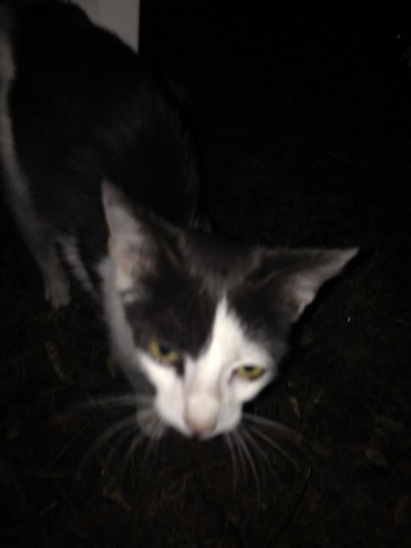 IMG_1539.thumb.JPG.c8eb5ff0a7e5596dacb07