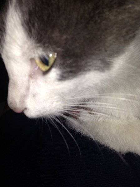 IMG_1547.thumb.JPG.360a2ba8961c91cd01be8