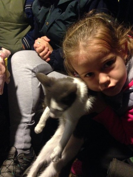 IMG_1549.thumb.JPG.4aa8f7d5555e8cf3ecd91