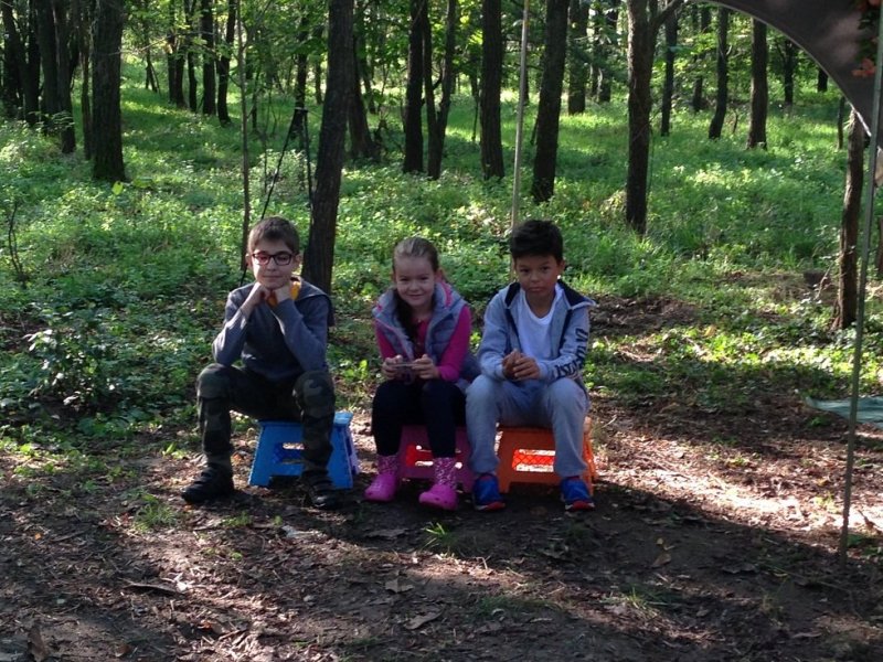 IMG_1552.thumb.JPG.f768d7a242bfac1b8f8a2