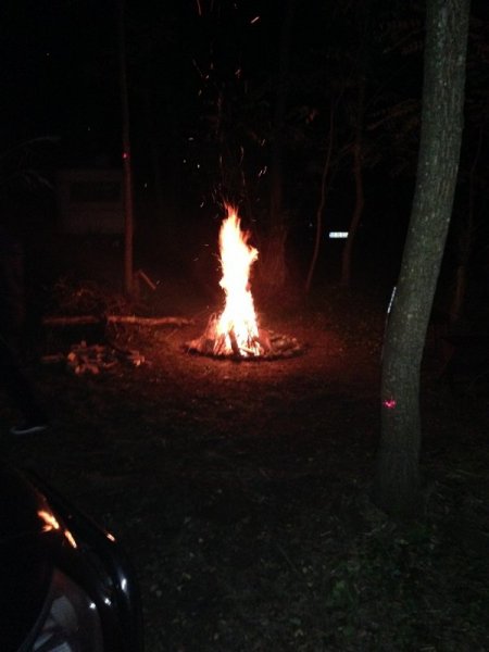 IMG_1563.thumb.JPG.043cfcf1220f4242477db