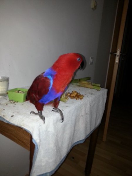 2015-12-05 19.15.11.jpg