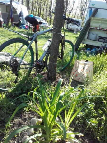 20160416_172639 - Copy.jpg