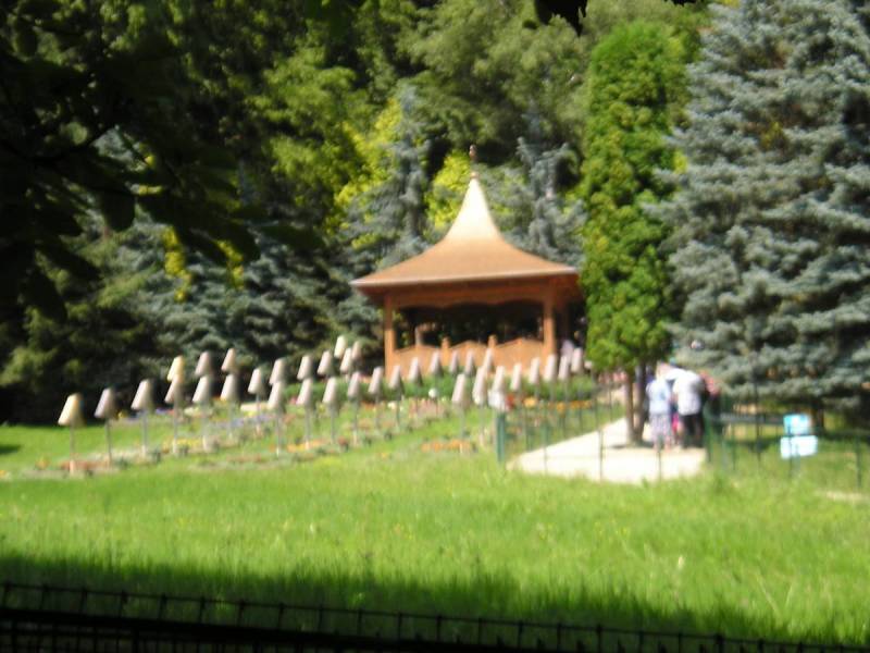 2016 IULIE (168).JPG