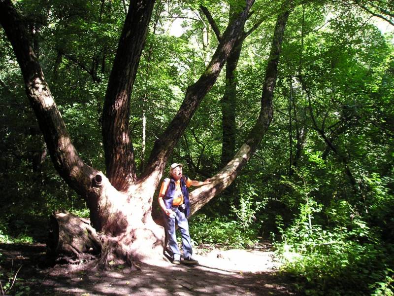 2016 IULIE (248).JPG