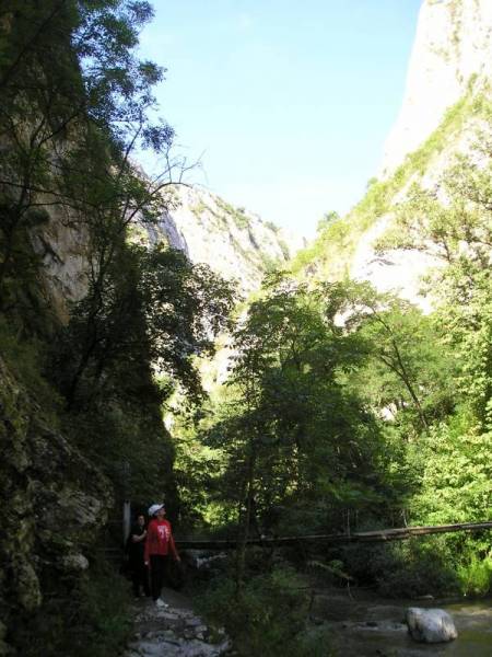 2016 IULIE (251).JPG