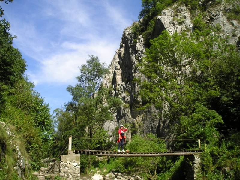 2016 IULIE (259).JPG