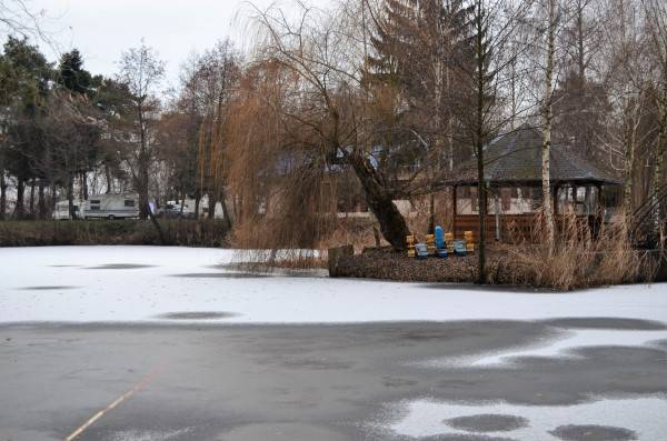 DSC_0008 (600 x 397).jpg