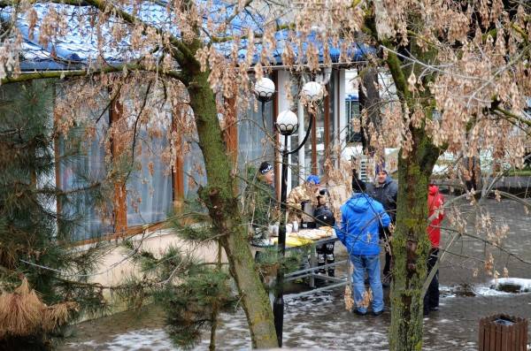 DSC_0160 (600 x 397).jpg