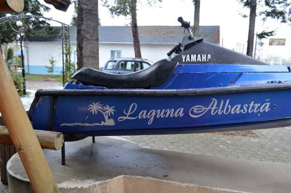 DSC_0164 (600 x 397).jpg