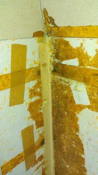 IMAG2277[1] (1368 x 2448).jpg