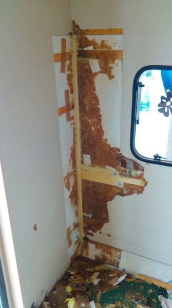 IMAG2276[1] (1368 x 2448).jpg