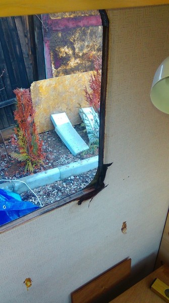 IMAG2322 (1368 x 2448).jpg