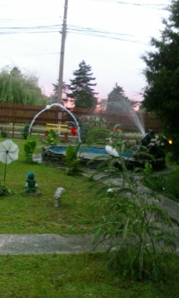 nunta simonei 012.jpg