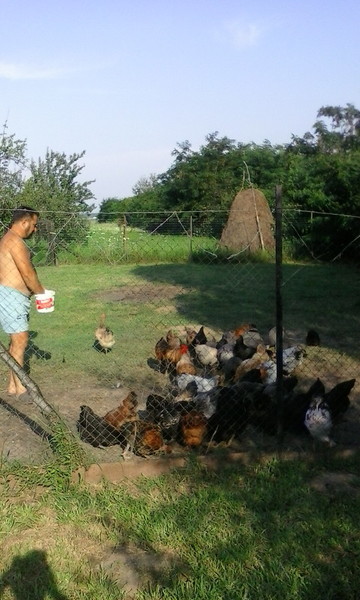 calimanesti 2015 134.jpg