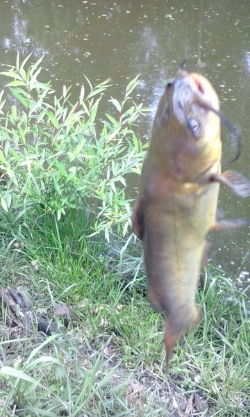 poze luna mai 2015 004.jpg