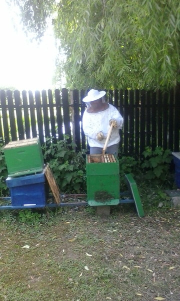 gostinu 14 06 2015 005.jpg