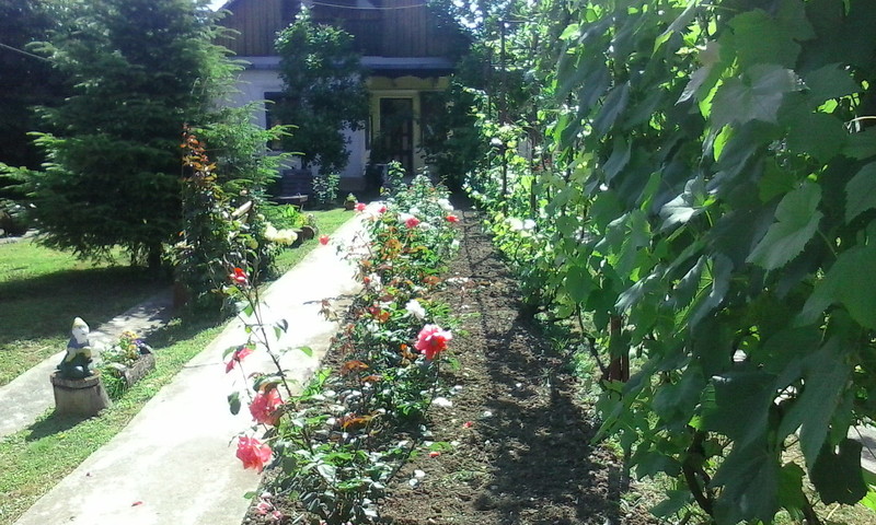 gostinu 14 06 2015 015.jpg