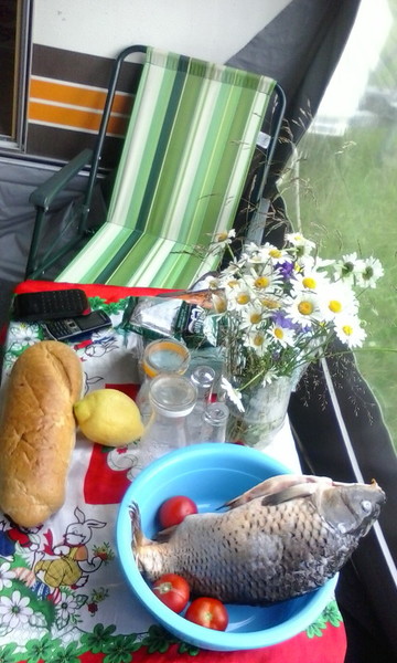 calimanesti 2015 111.jpg