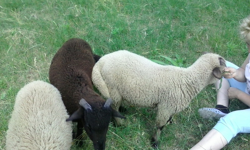 poze luna mai 2015 018.jpg