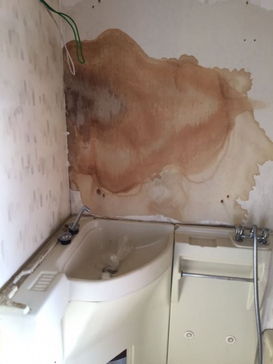 WhatsApp Image 2017-09-25 at 9.58.19 AM.jpeg