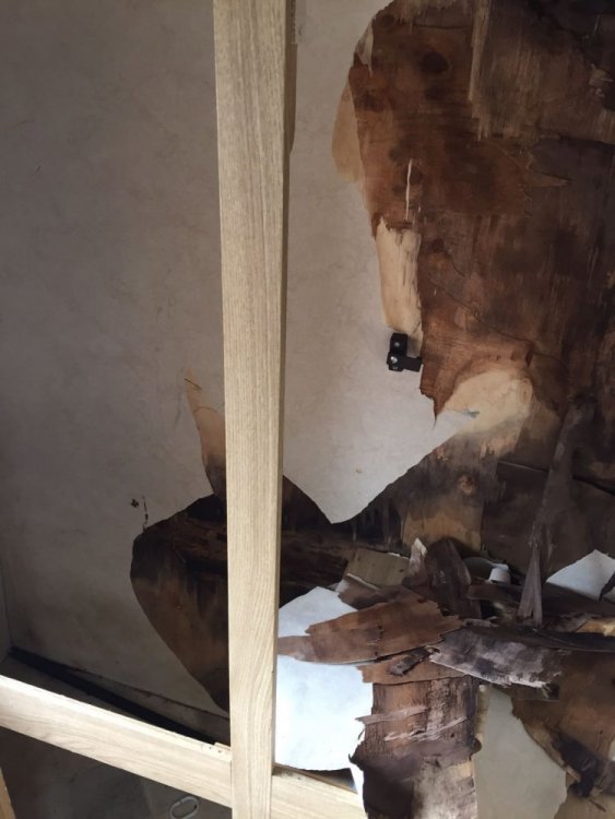 WhatsApp Image 2017-09-25 at 9.58.23 AM.jpeg