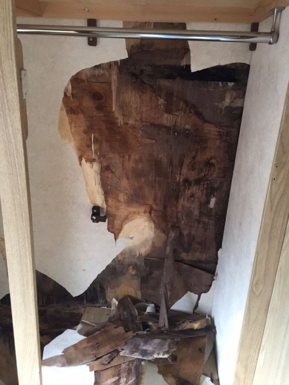 WhatsApp Image 2017-09-25 at 9.58.24 AM.jpeg