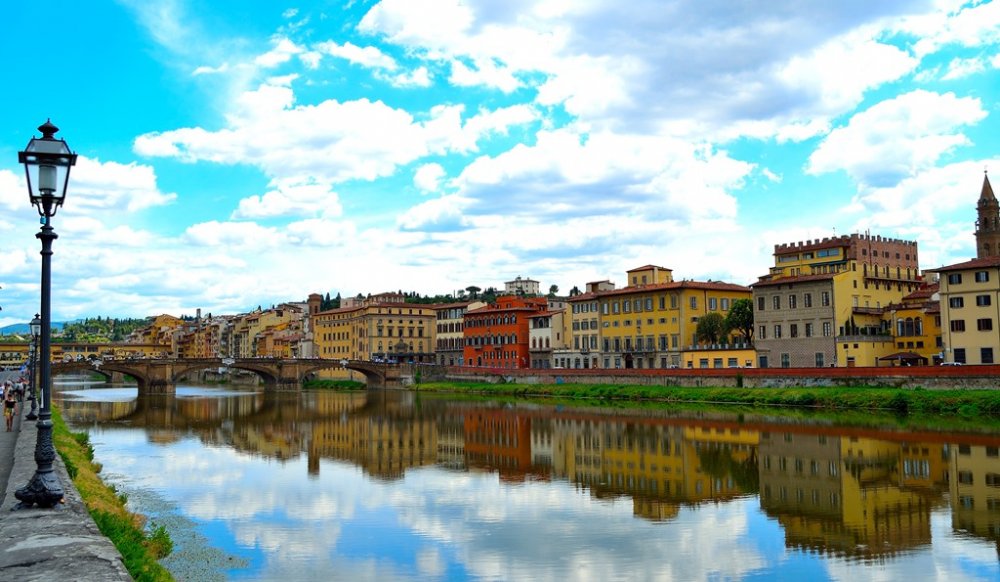 Dreptul de Autor F.M.