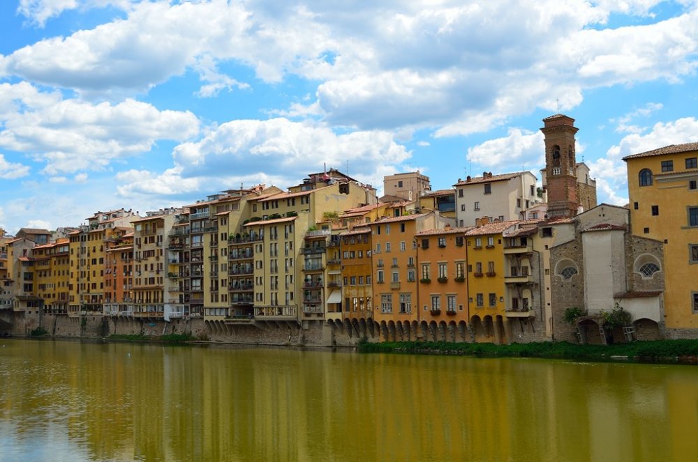 Dreptul de Autor F.M.