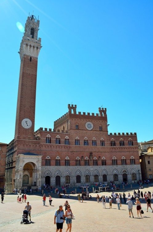 Palazzo Publico - Siena