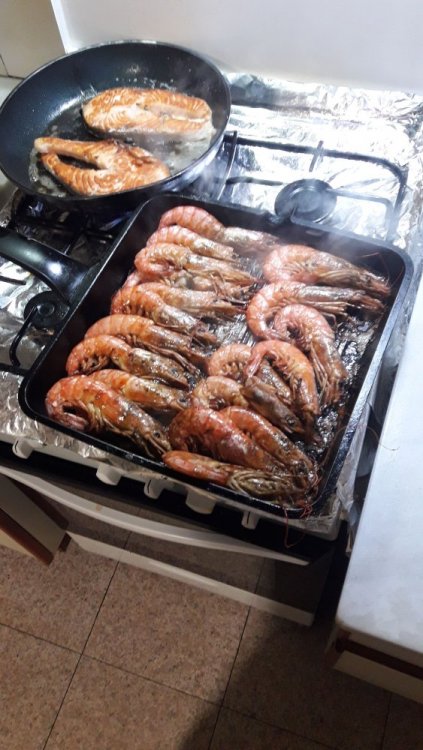 2017-12-05 20.52.52.jpeg