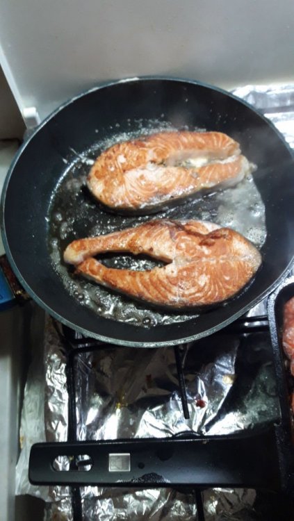 2017-12-05 20.52.45.jpeg