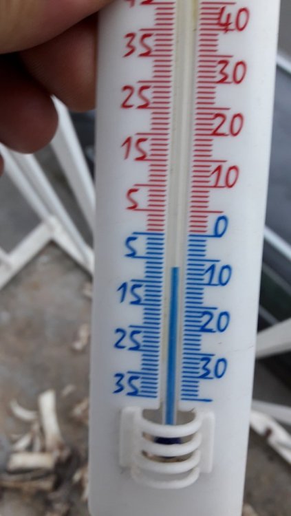 2017-12-09 08.17.48.jpg