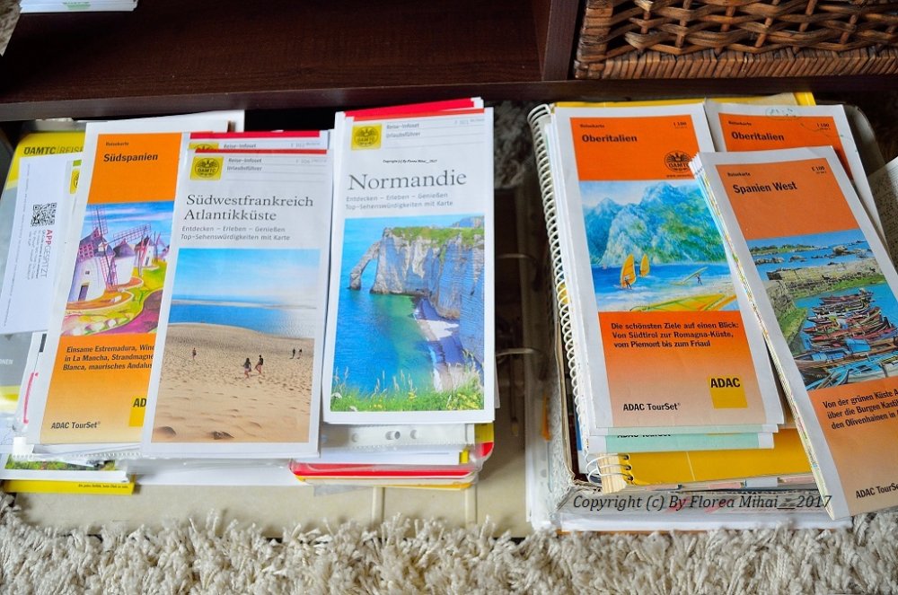 2017 /2018 - Florea M