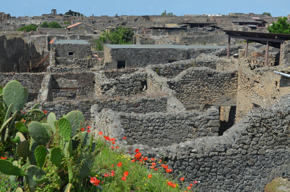 Pompei - Orasul ingropat in lava si cenusa