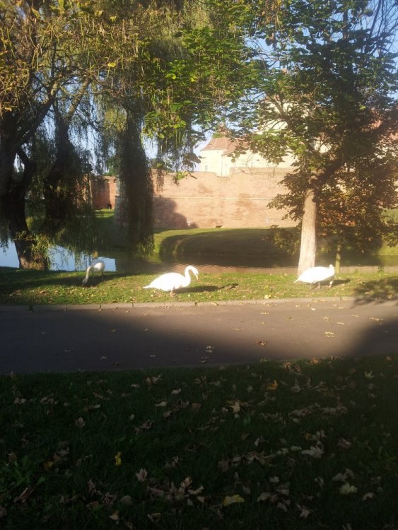 Turul Romaniei 006.jpg