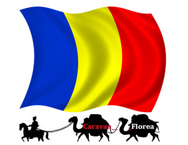 1 Decembrie 2018 - Centenar