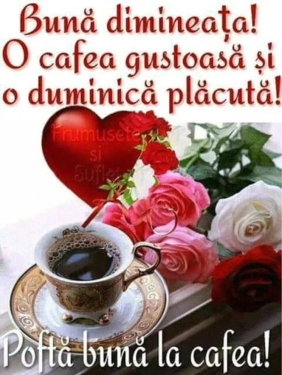 Buna-Dimineata-Imagini-Frumoase-SMS-51.jpg