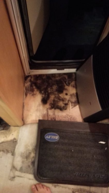 WhatsApp Image 2019-05-13 at 10.56.19 PM.jpeg