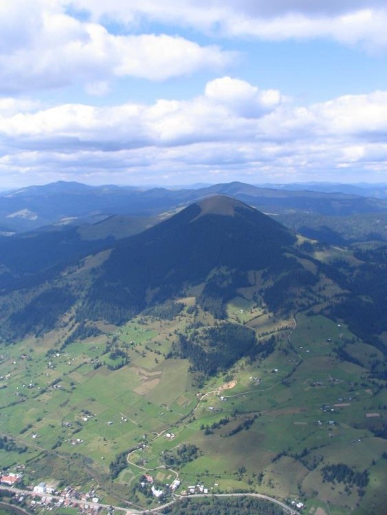 Vecinii lui Adrian.jpg