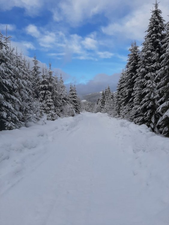 WhatsApp Image 2021-01-24 at 15.36.59.jpeg