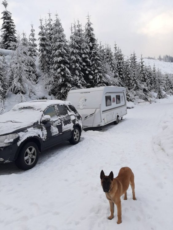 WhatsApp Image 2021-01-24 at 15.37.00.jpeg