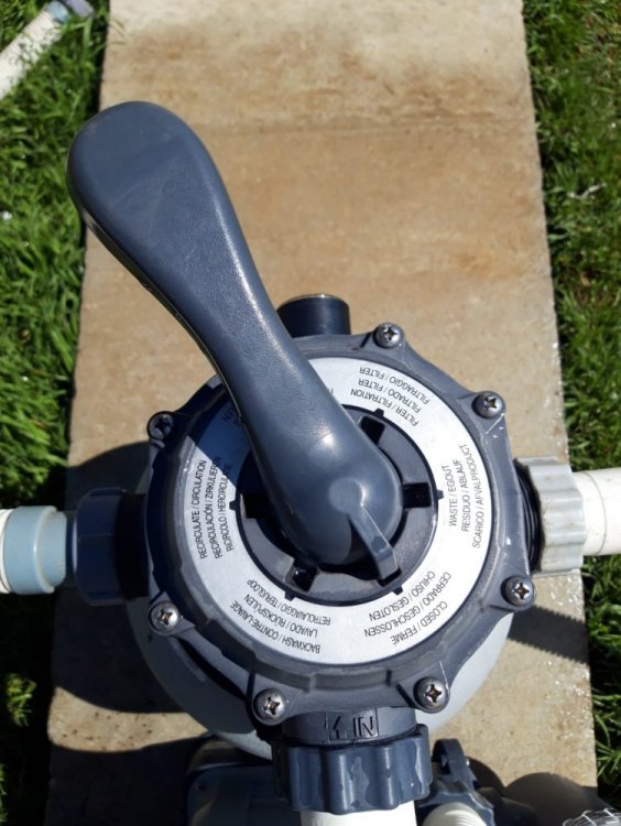 WhatsApp Image 2021-04-13 at 14.48.09 (2).jpeg