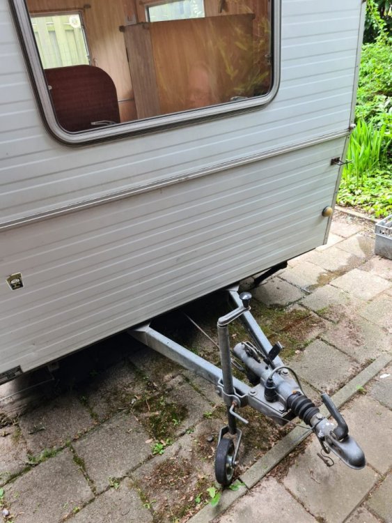 WhatsApp Image 2021-05-24 at 11.05.19.jpeg