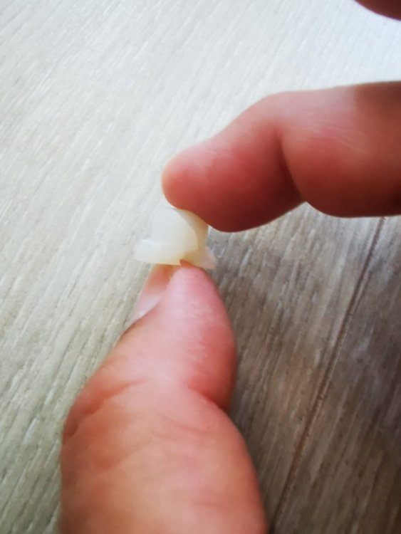 rotita blocatoare 03.jpg