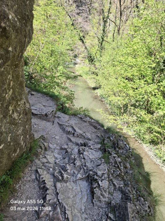 20260503_114800.thumb.jpg.7b54daea69f54c33d617a5e6f9270e3b.jpg