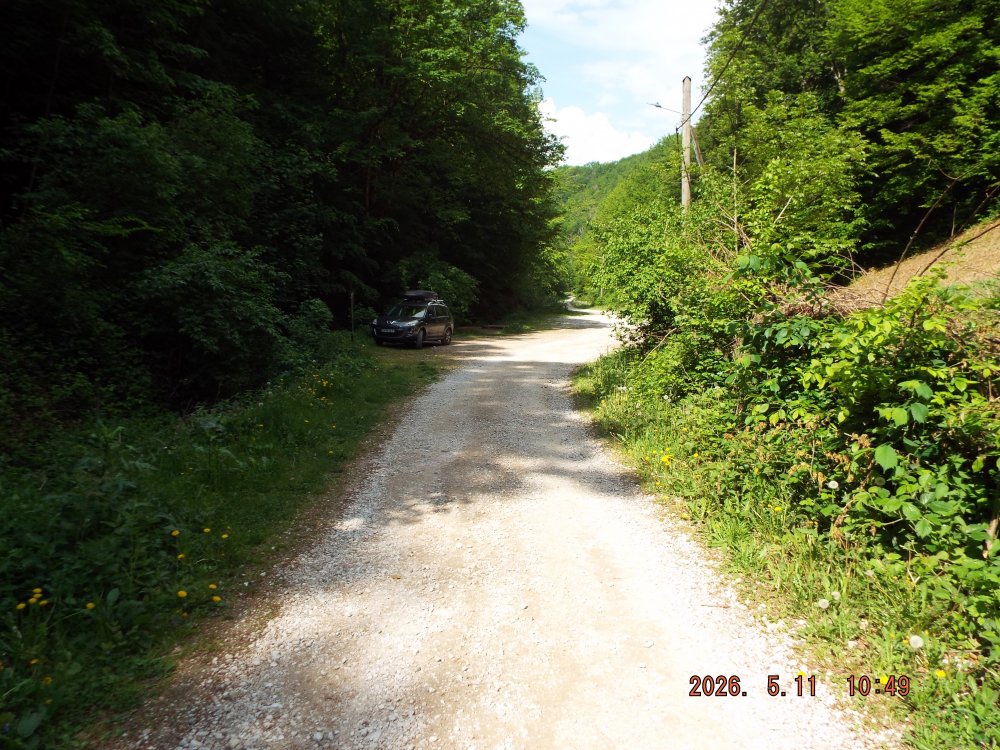 DSCF9861.JPG.342c6c3e1d383d6528def8cf82707344.JPG