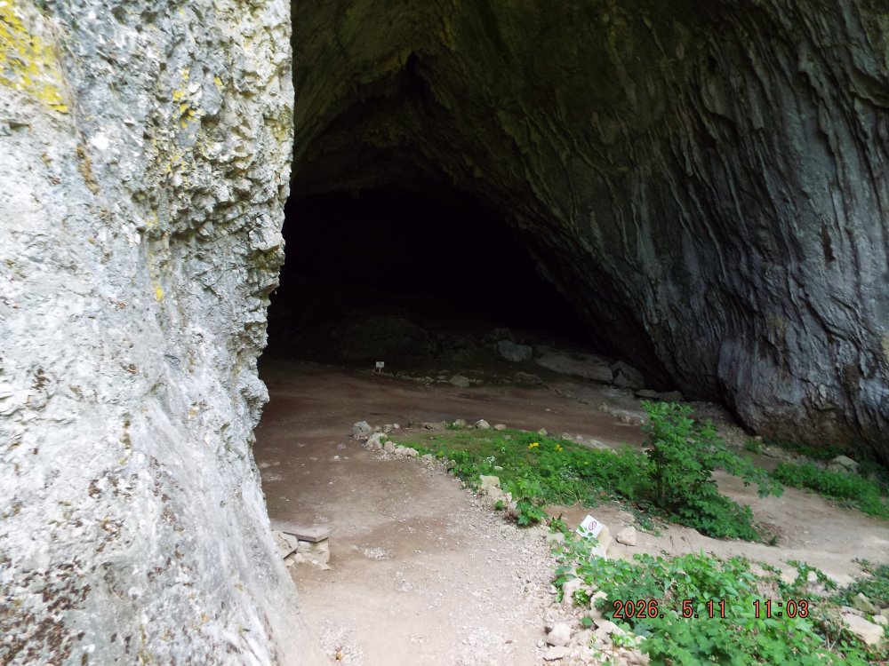 DSCF9862.JPG.21d1334391da7d3f4024efcf44086e33.JPG